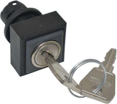 Schlüsseltaste rastend quadratisch QXSSA17E