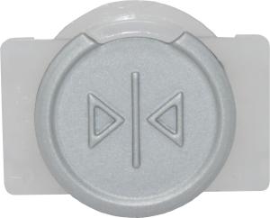 Tasterplatte SIGMA silber "Tür zu"