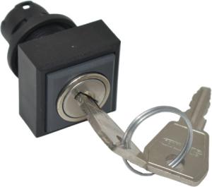Schlüsseltaste rastend quadratisch QXSSA17E