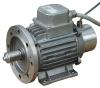 Motor für JRK, oder Jaguar A (14A) oder Jaguar mit 2 Magnetringen.